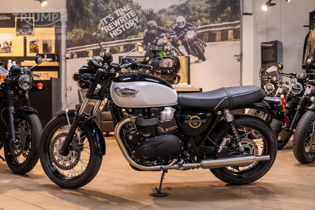 2026 Triumph Bonneville T100 in Snowdonia White / Sapphire Black, photo 6 of 9