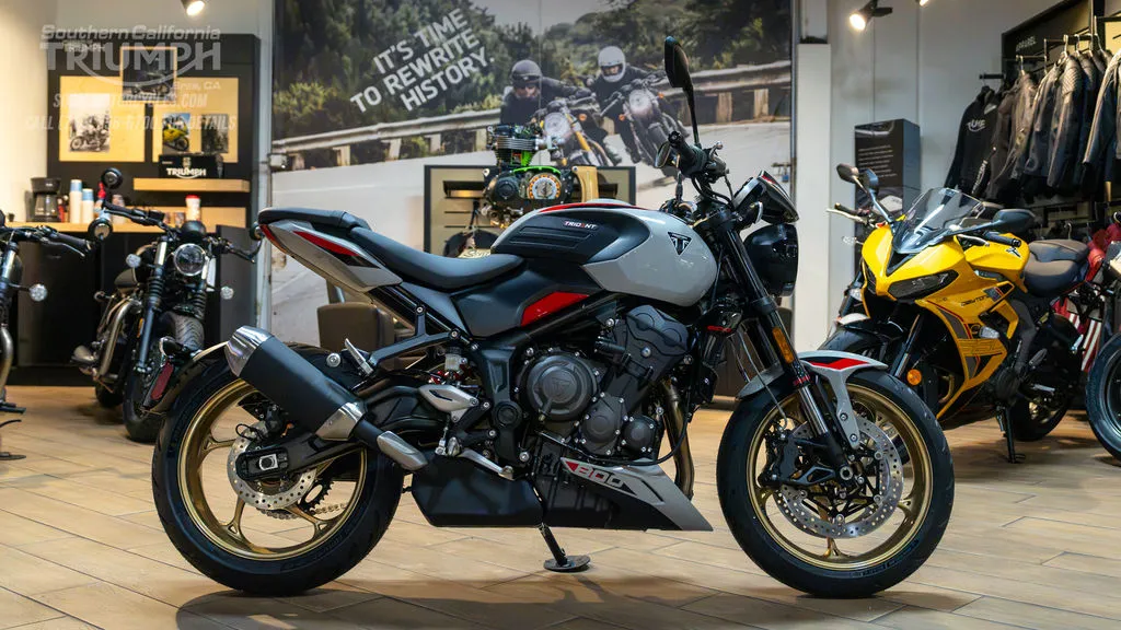 2026 Triumph Trident 800 in Ash Grey, photo 1 of 8