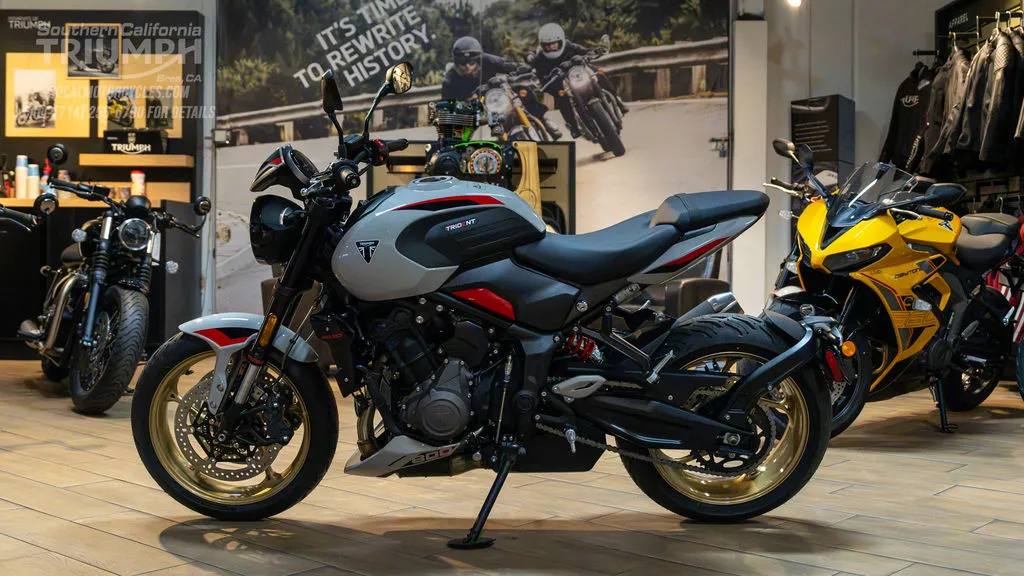 2026 Triumph Trident 800 in Ash Grey, photo 6 of 8